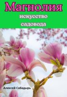 Магнолия искусство садовода