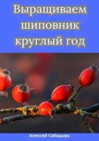 Выращиваем шиповник круглый год
