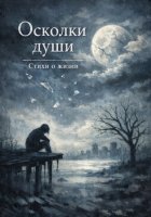 Осколки души