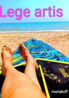 Lege artiis
