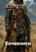 Кочевники