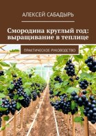 Смородина круглый год: выращивание в теплице. Практическое руководство
