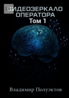 Видеозеркало оператора. Том 1