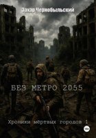 Без метро 2055. Хроники мёртвых городов 1