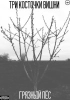 Три косточки вишни