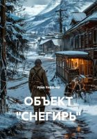 ОБЪЕКТ «СНЕГИРЬ»