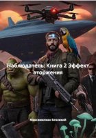 Наблюдатель: Книга 2 Эффект вторжения
