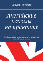 Английские идиомы на практике. Эффективное запоминание и практика английского языка