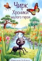 Чирк. Хроники малого героя