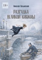 Разгадка великой княжны. Исторический детектив