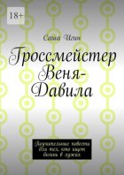Гроссмейстер Веня-Давила. Поучительные повести для тех, кто ищет богинь в лужах
