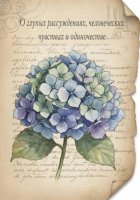 О глупых рассуждениях, человеческих чувствах и одиночестве