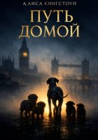 Путь домой