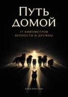 Путь домой 2. Семнадцать километров верности и дружбы