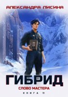 Гибрид. Книга 11. Слово мастера