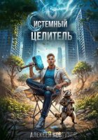 Системный целитель 3
