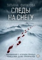 Следы на снегу