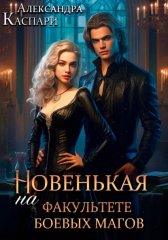 Новенькая на факультете боевых магов