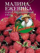 Малина, ежевика. Сорта, выращивание, уход