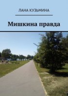 Мишкина правда