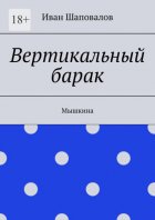 Вертикальный барак. Мышкина