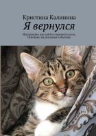 Я вернулся. Инструкция как найти утерянного кота. Основано на реальных событиях