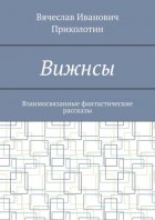 Вижнсы. Взаимосвязанные фантастические рассказы