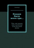 Плодов было всего три… Тень, как помеха, так и источник силы для новой жизни