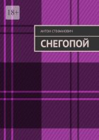 Снегопой