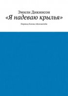 «Я надеваю крылья». Перевод Елены Айзенштейн