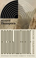 Возвышенное. После падения. Краткая история общего чувства