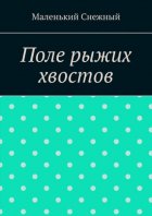 Поле рыжих хвостов