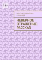 Неверное отражение. Рассказ