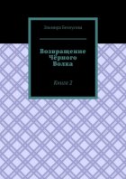 Возвращение Чёрного Волка. Книга 2