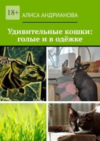 Удивительные кошки: голые и в одёжке. Сказка для взрослых детей