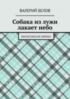 Собака из лужи лакает небо. Философская лирика