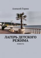 Лагерь детского режима. Повесть